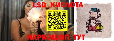 молекула духа Гатчина
