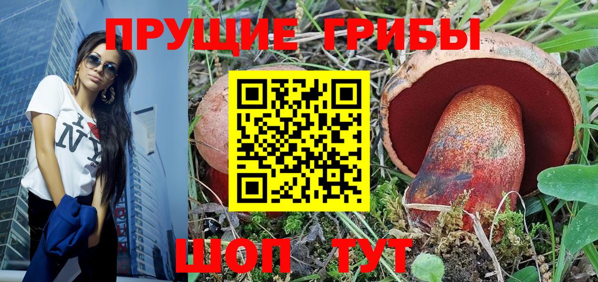 Дзержинск  магазин продажи наркотиков  Вход с VPN  Псилоцибиновые грибы GOLDEN TEACHER 